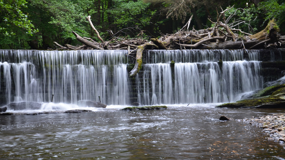 The Kirkhill Grounds