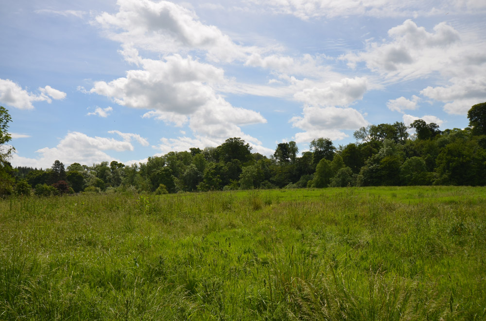 Kirkhill Grounds