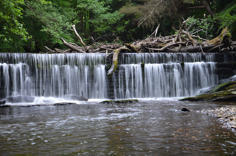 Gore Glen